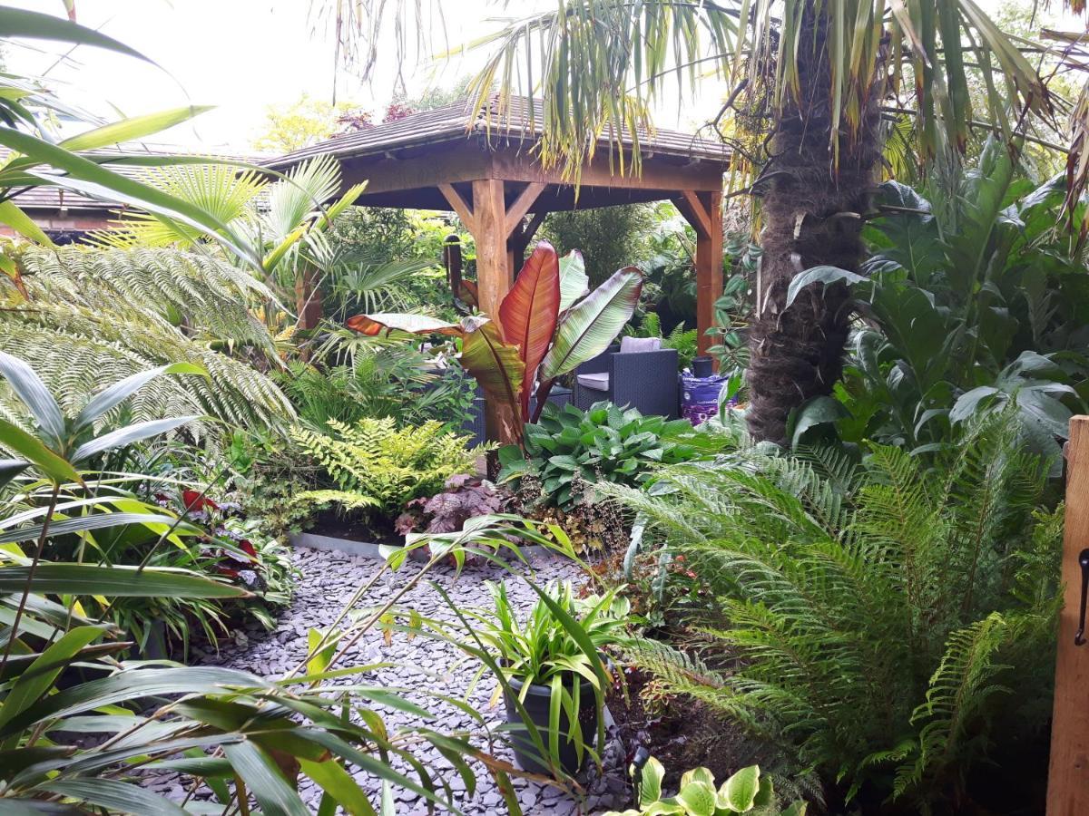 Cabin Set In A Beautiful Romantic Tropical Garden Саттон-Колдфілд Екстер'єр фото